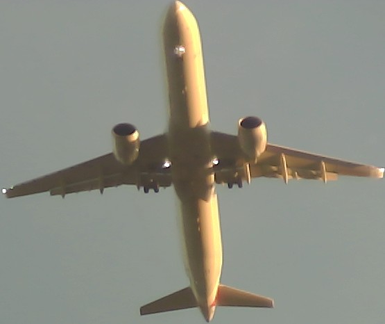 Airplane Picture