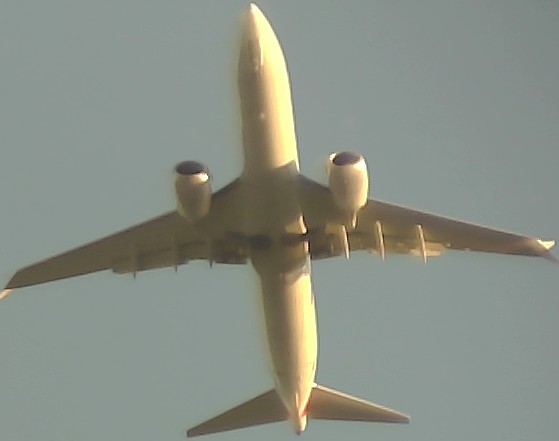 Airplane Picture