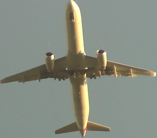 Airplane Picture