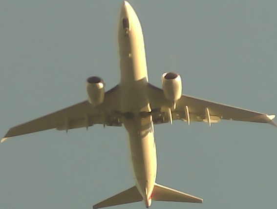 Airplane Picture