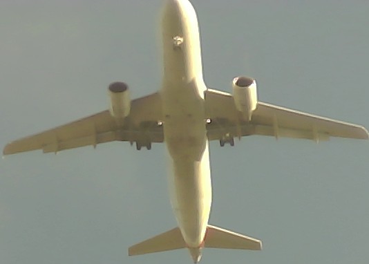 Airplane Picture