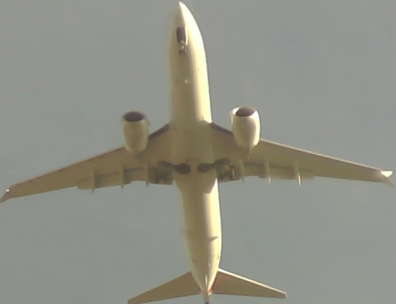 Airplane Picture