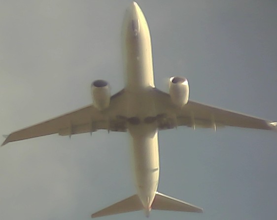 Airplane Picture