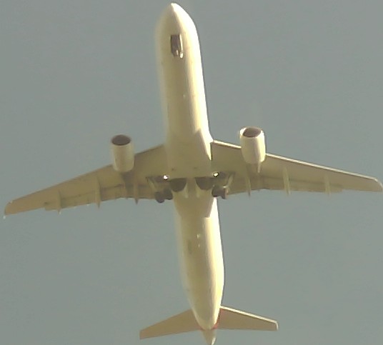Airplane Picture