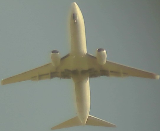 Airplane Picture