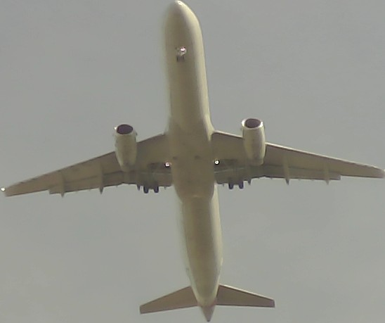 Airplane Picture