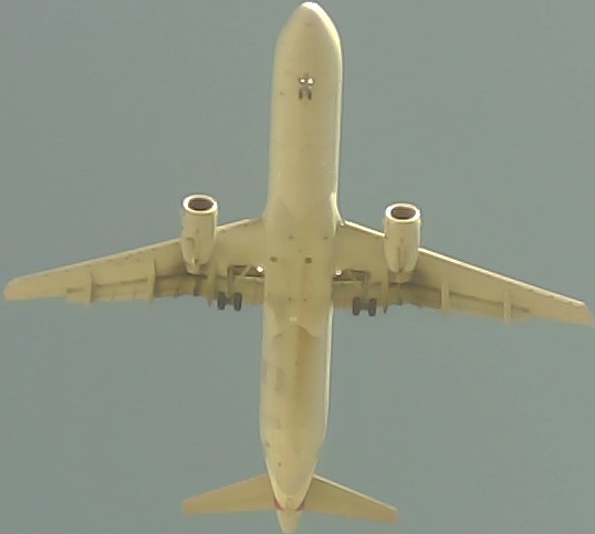 Airplane Picture