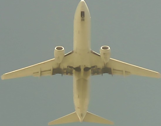 Airplane Picture