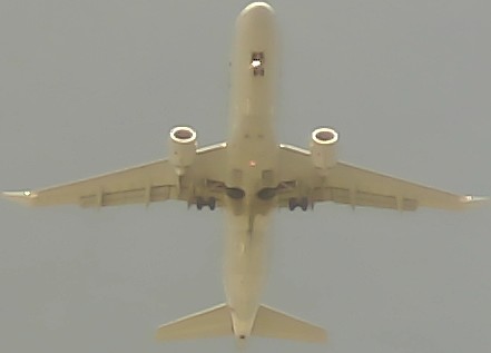 Airplane Picture