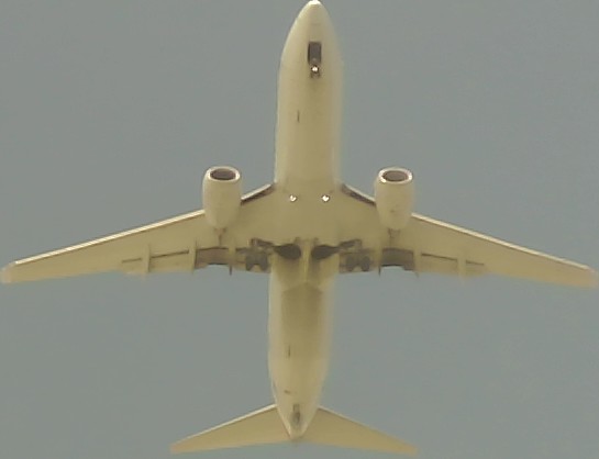 Airplane Picture