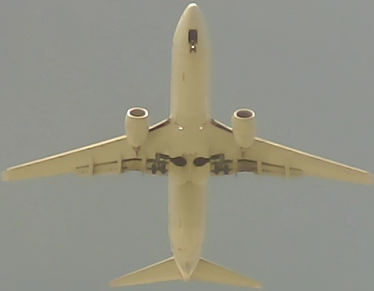 Airplane Picture