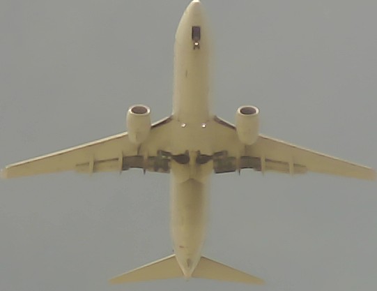 Airplane Picture