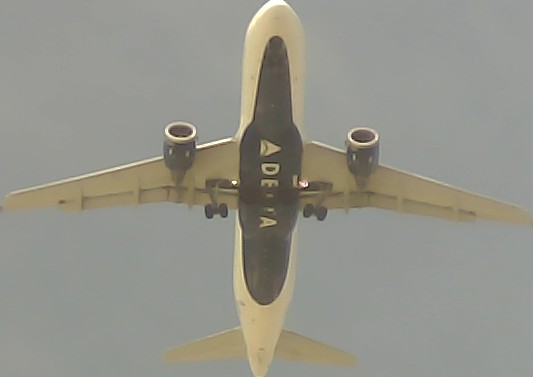 Airplane Picture