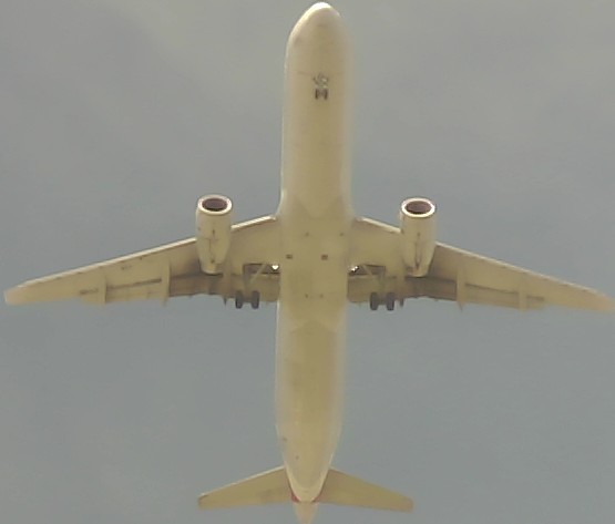 Airplane Picture