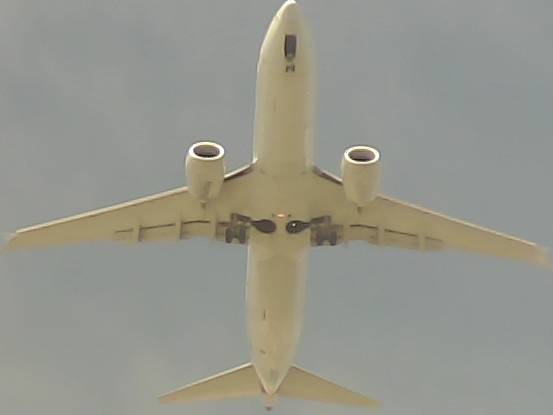 Airplane Picture
