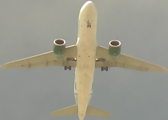 Airplane Picture