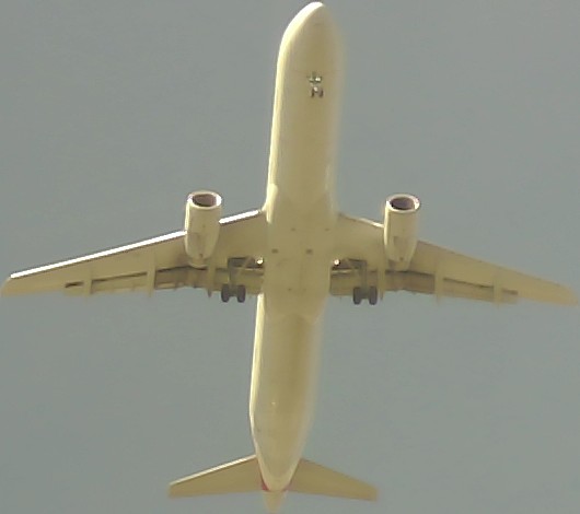 Airplane Picture