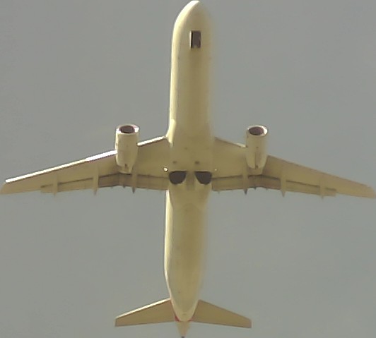 Airplane Picture
