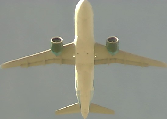 Airplane Picture