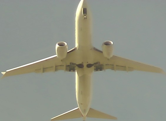Airplane Picture