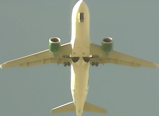 Airplane Picture