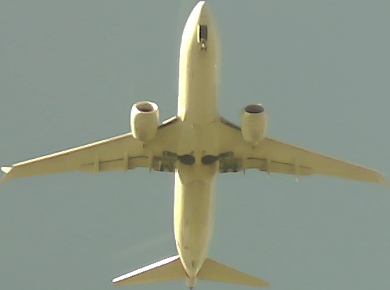 Airplane Picture