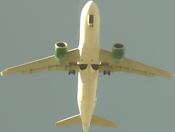 Airplane Picture