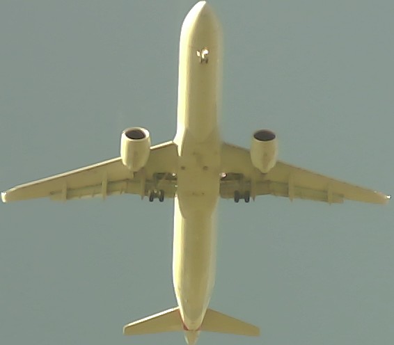 Airplane Picture