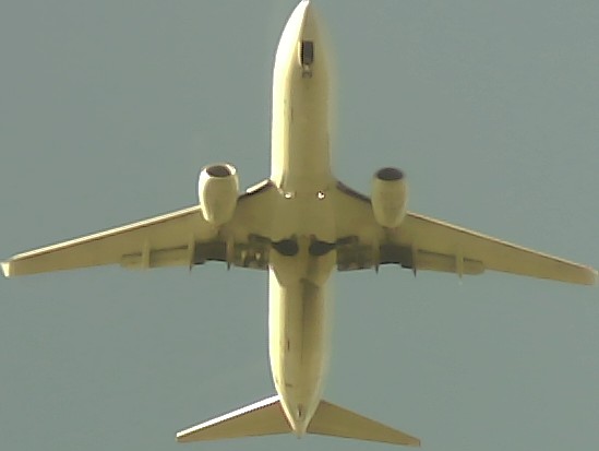 Airplane Picture