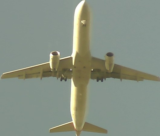 Airplane Picture