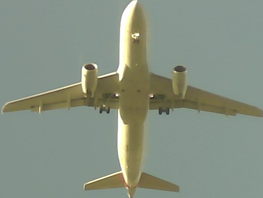 Airplane Picture