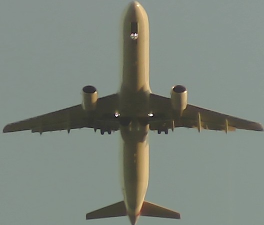 Airplane Picture