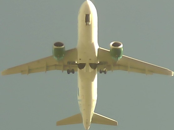 Airplane Picture