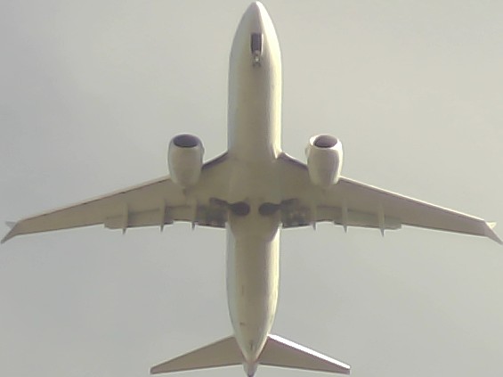 Airplane Picture