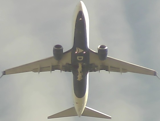 Airplane Picture