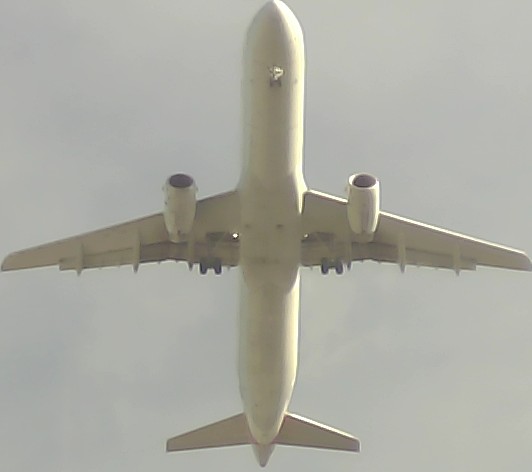 Airplane Picture