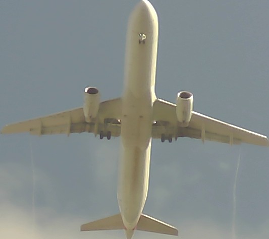 Airplane Picture