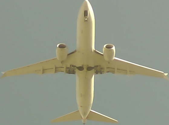 Airplane Picture