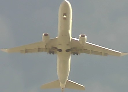 Airplane Picture