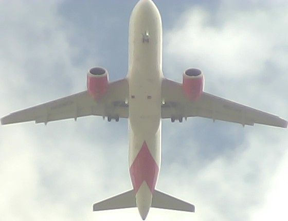 Airplane Picture