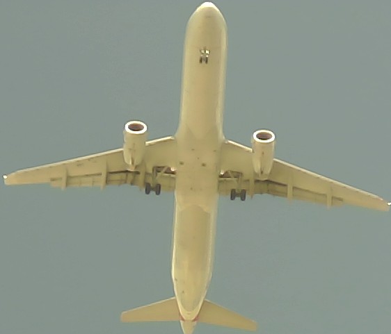 Airplane Picture