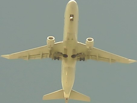 Airplane Picture