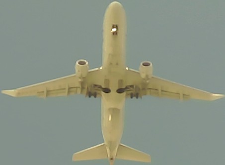 Airplane Picture