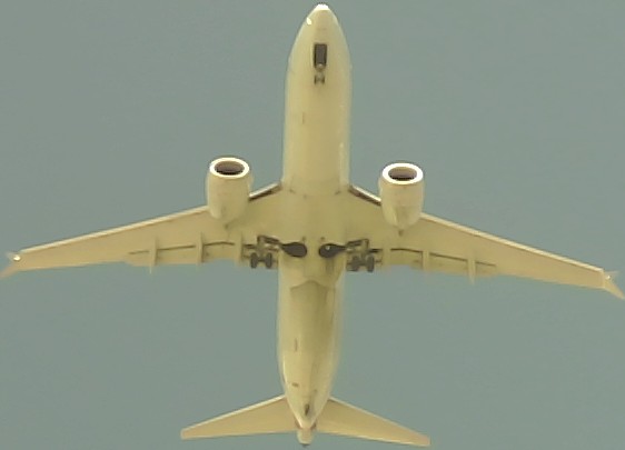 Airplane Picture