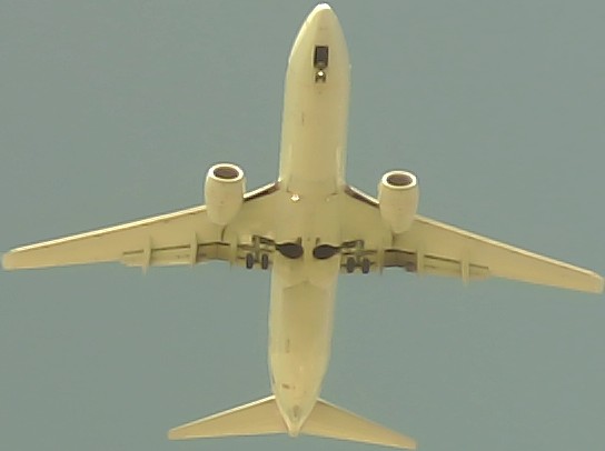 Airplane Picture