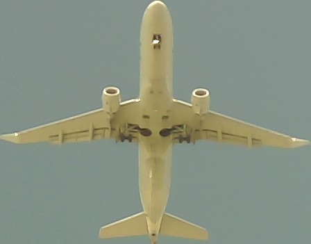 Airplane Picture