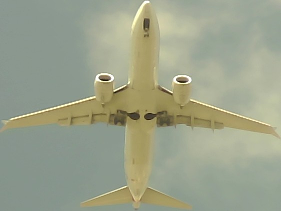 Airplane Picture