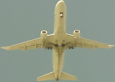 Airplane Picture