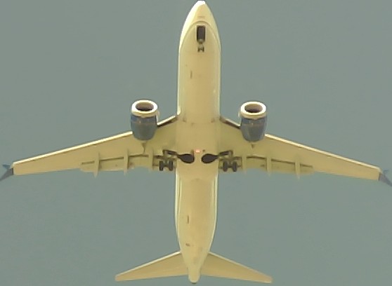 Airplane Picture