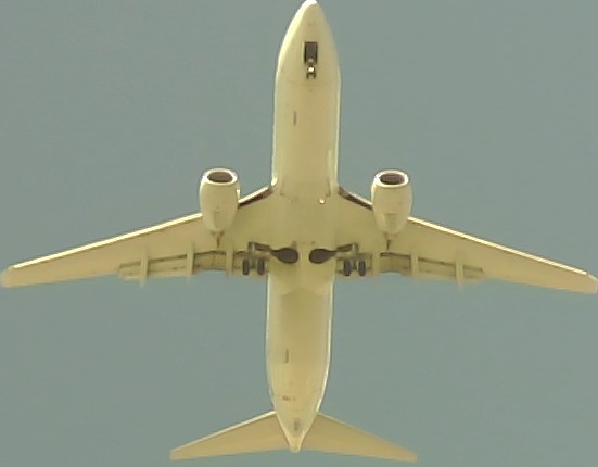 Airplane Picture